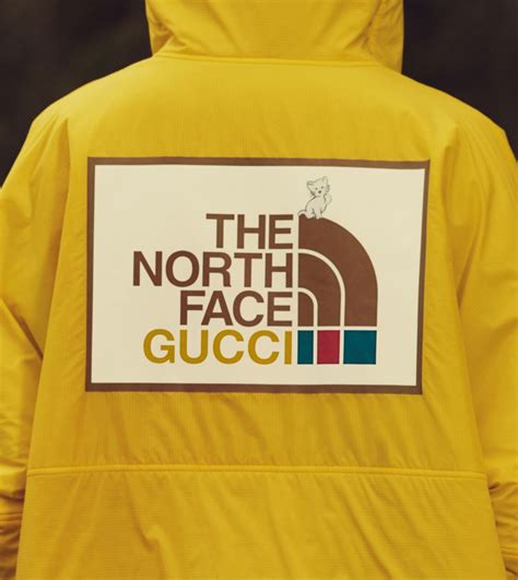 gucci north facw|gucci north face shop.